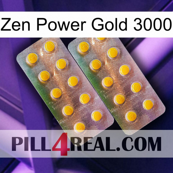 Zen Power Gold 3000 new10.jpg